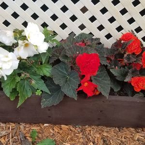 Meet your Posher, Wendy